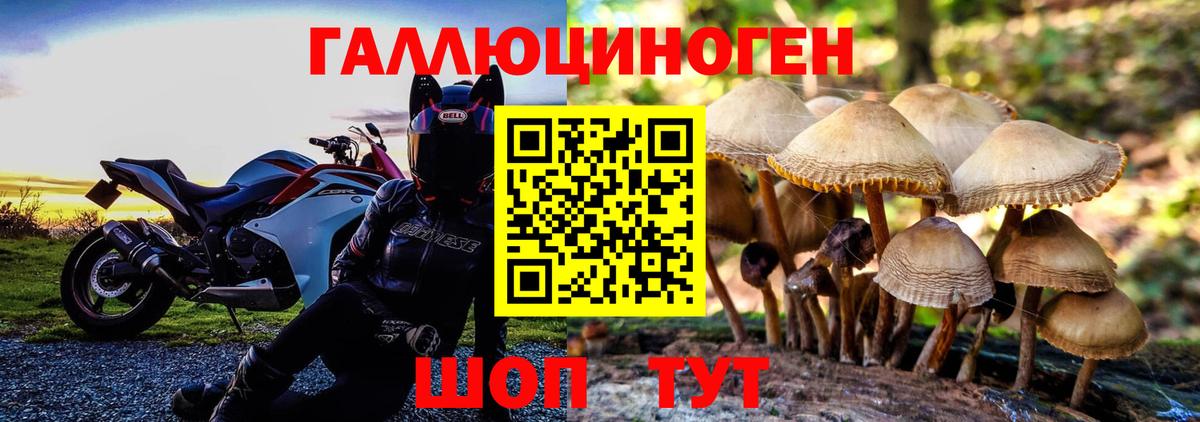 Брянск  Галлюциногенные грибы GOLDEN TEACHER  наркошоп  Галлюциногенные грибы MAGIC MUSHROOMS  Вход с VPN 