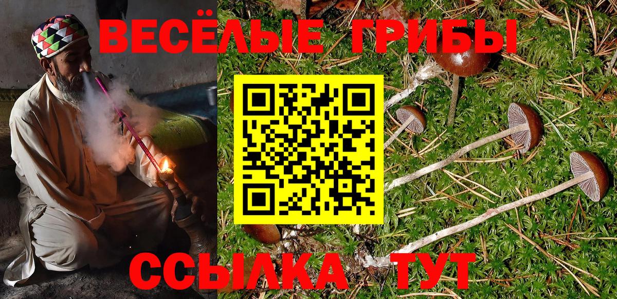 Псилоцибиновые грибы ЛСД Брянск